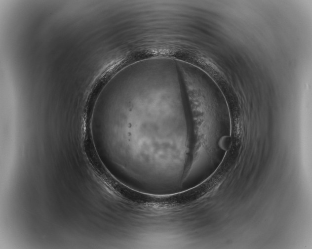 X0000087350733200704271419
