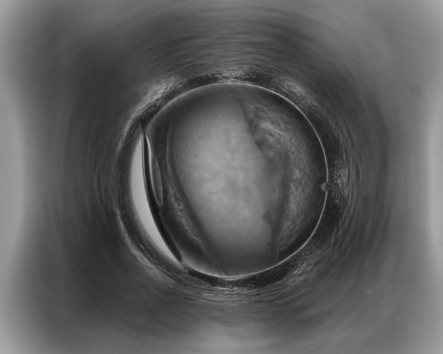 X0000087350734200704271419