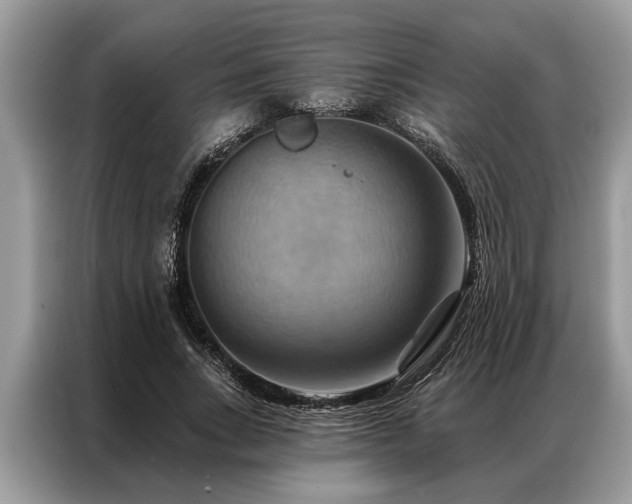 X0000087350735200704271419