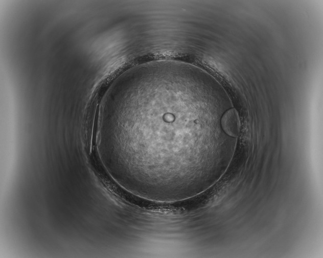 X0000087350738200704271419
