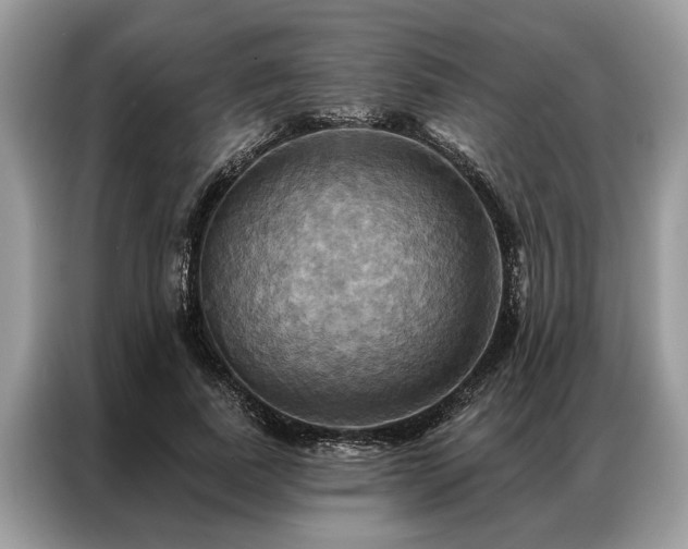X0000087350739200704271419