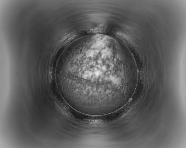 X0000087350741200704271419