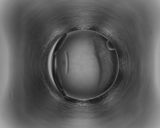 X0000087350742200704271419