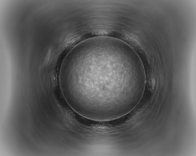 X0000087350743200704271419
