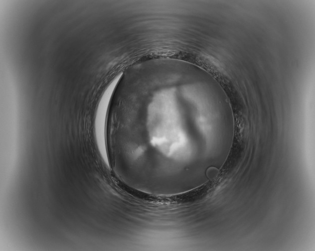 X0000087350745200704271419