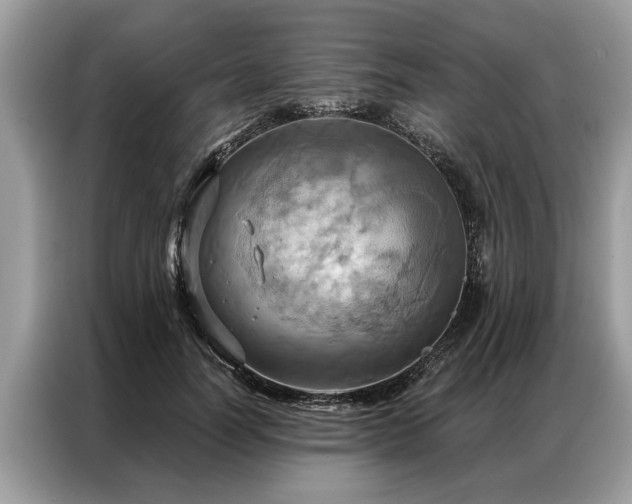 X0000087350746200704271419