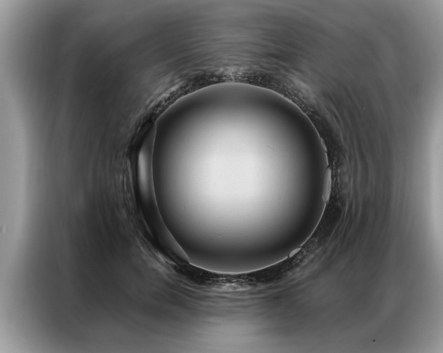 X0000087350750200704271419