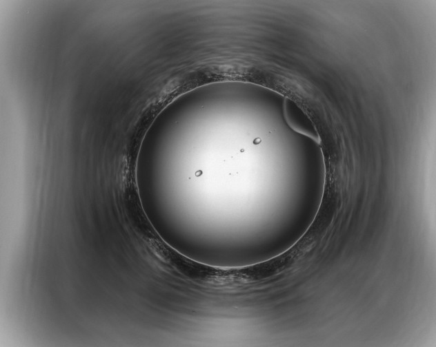 X0000087350752200704271419