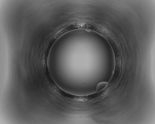 X0000087350754200704271419