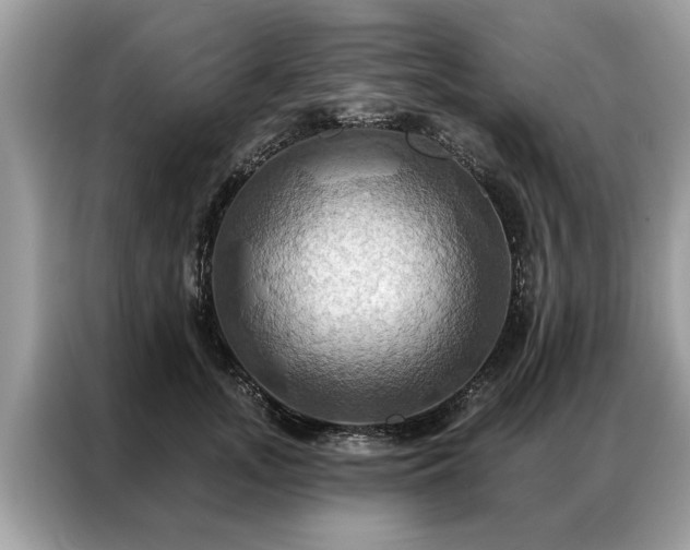 X0000087350755200704271419