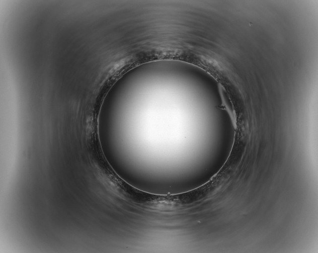 X0000087350756200704271419