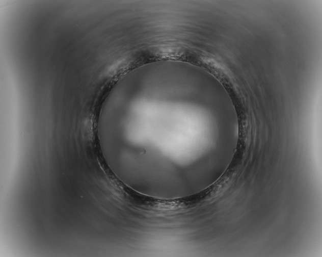 X0000087350757200704271419