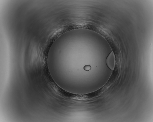 X0000087350758200704271419