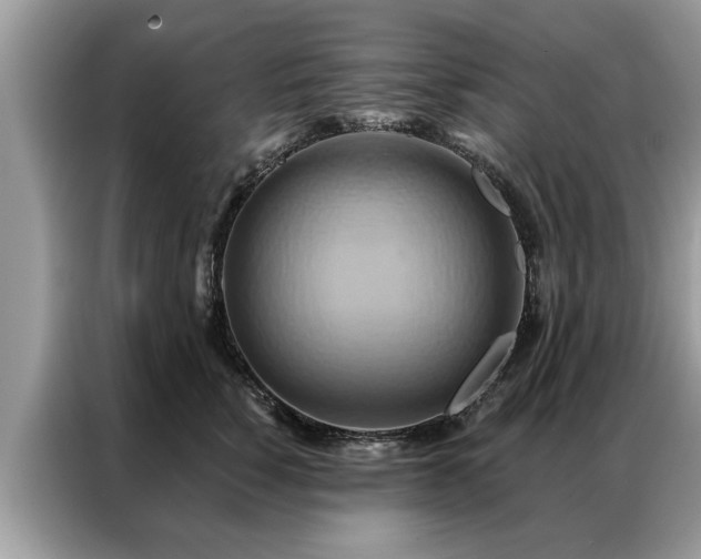 X0000087350760200704271419