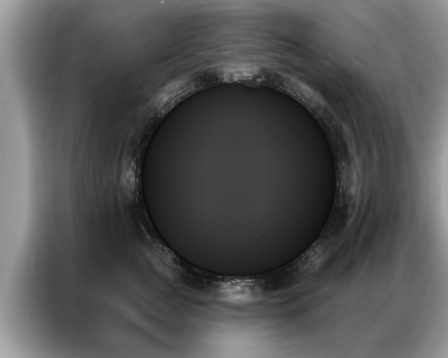 X0000087350761200704271419