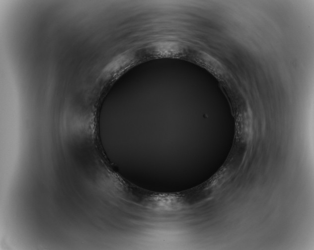X0000087350762200704271419