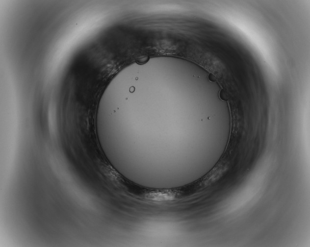 X0000087350765200704271419