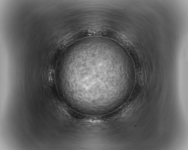 X0000087350770200704271419
