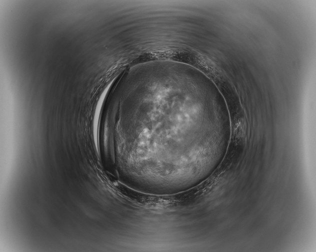 X0000087350772200704271419