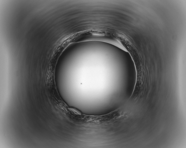 X0000087350773200704271419