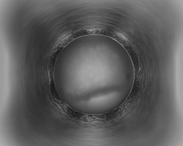 X0000087350774200704271419