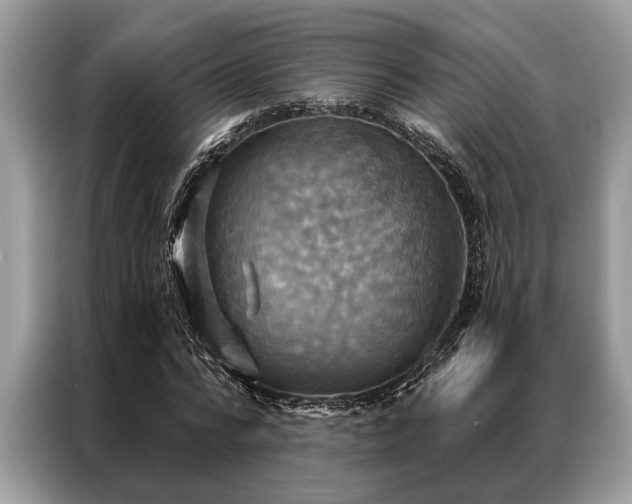 X0000087350776200704271419
