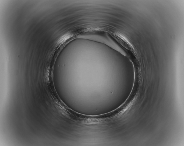 X0000087350777200704271419