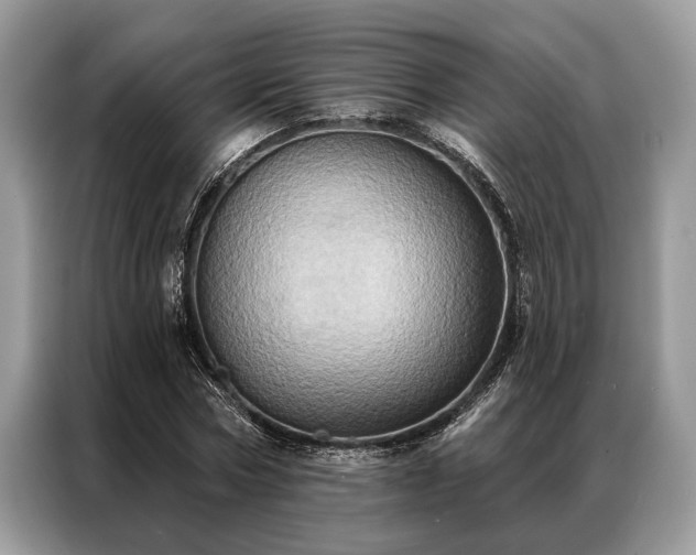 X0000087350778200704271419