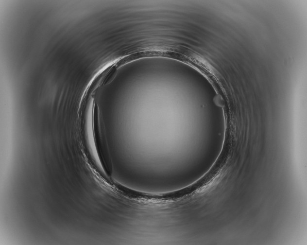 X0000087350779200704271419