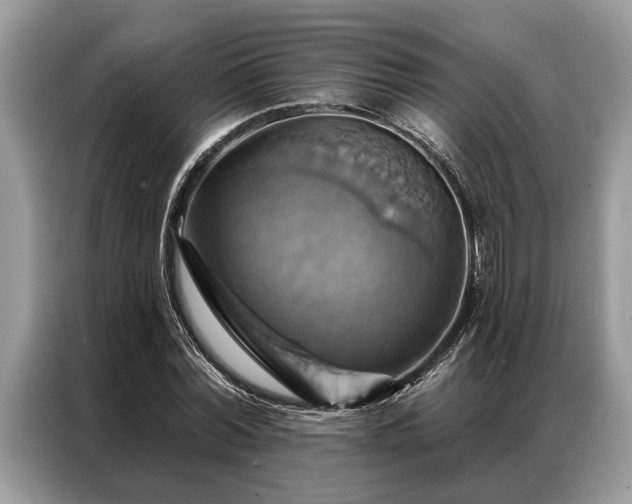 X0000087350780200704271418