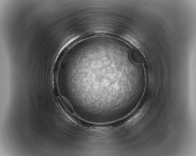 X0000087350782200704271418
