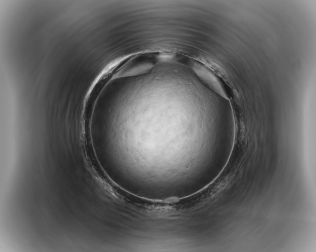 X0000087350784200704271418