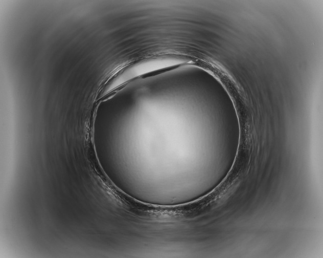 X0000087350785200704271418