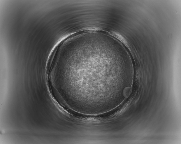 X0000087350787200704271418