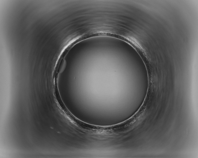 X0000087350790200704271418