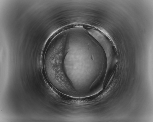 X0000087350791200704271418