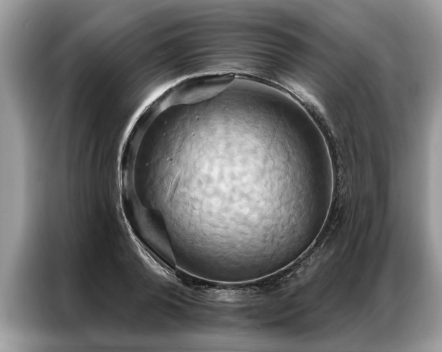 X0000087350792200704271418