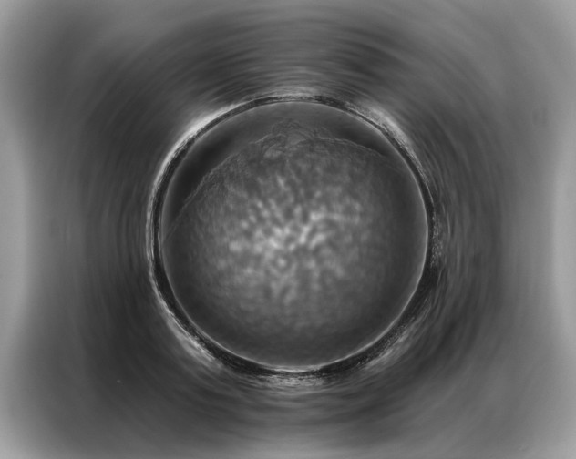 X0000087350795200704271418