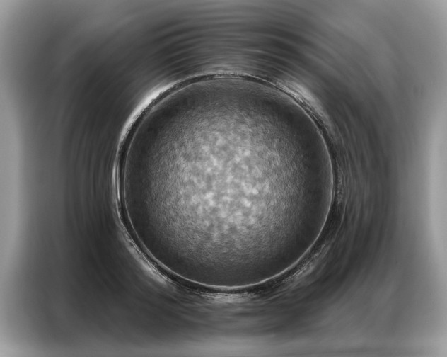 X0000087350796200704271418