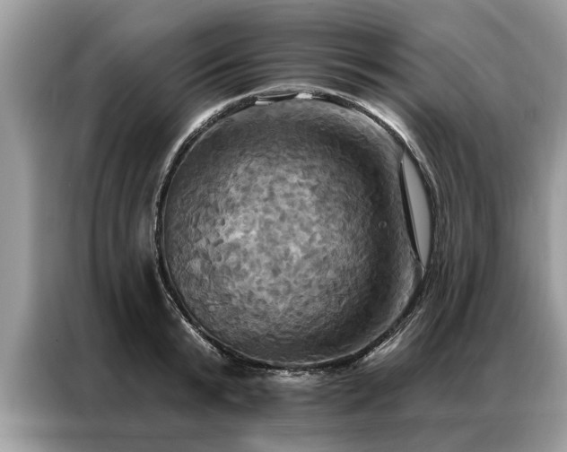 X0000087350799200704271418