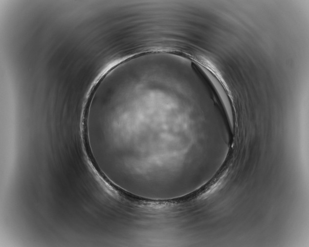 X0000087350803200704271418