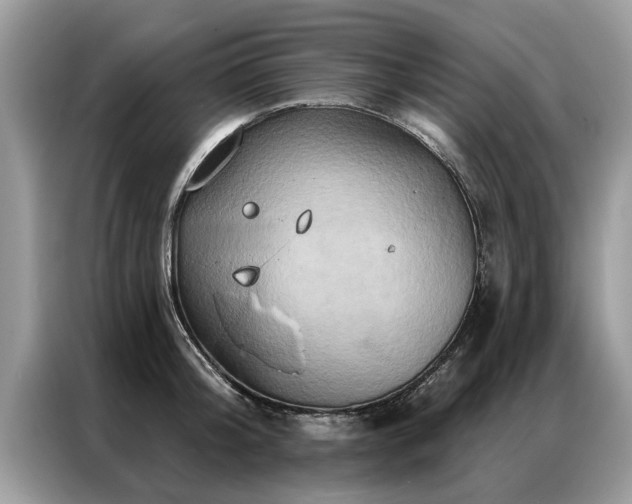 X0000087350804200704271418