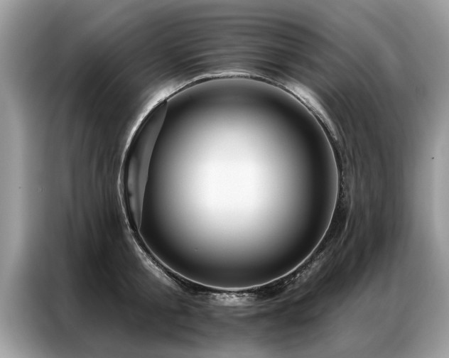X0000087350805200704271418