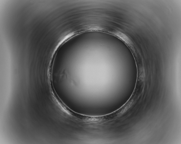 X0000087350806200704271418