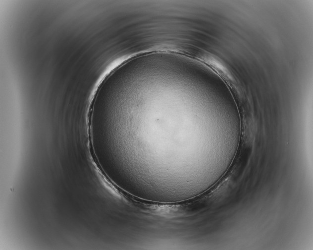 X0000087350808200704271418