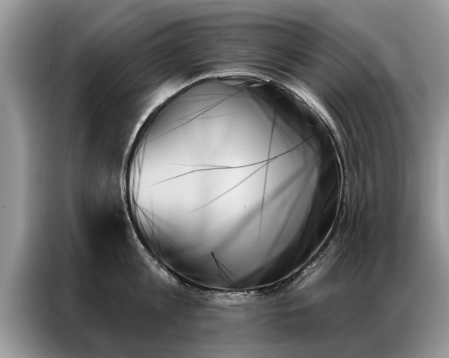 X0000087350813200704271418