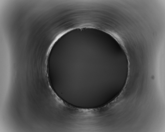 X0000087350816200704271418