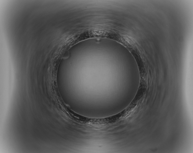 X0000087350817200704271418