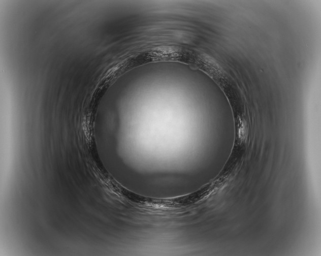 X0000087350819200704271418