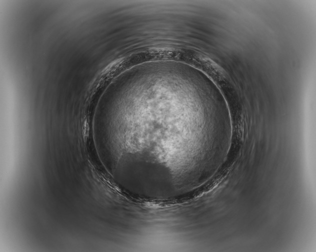 X0000087350821200704271418